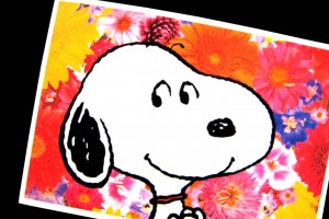 Snoopy Wallpapers HD photoframe