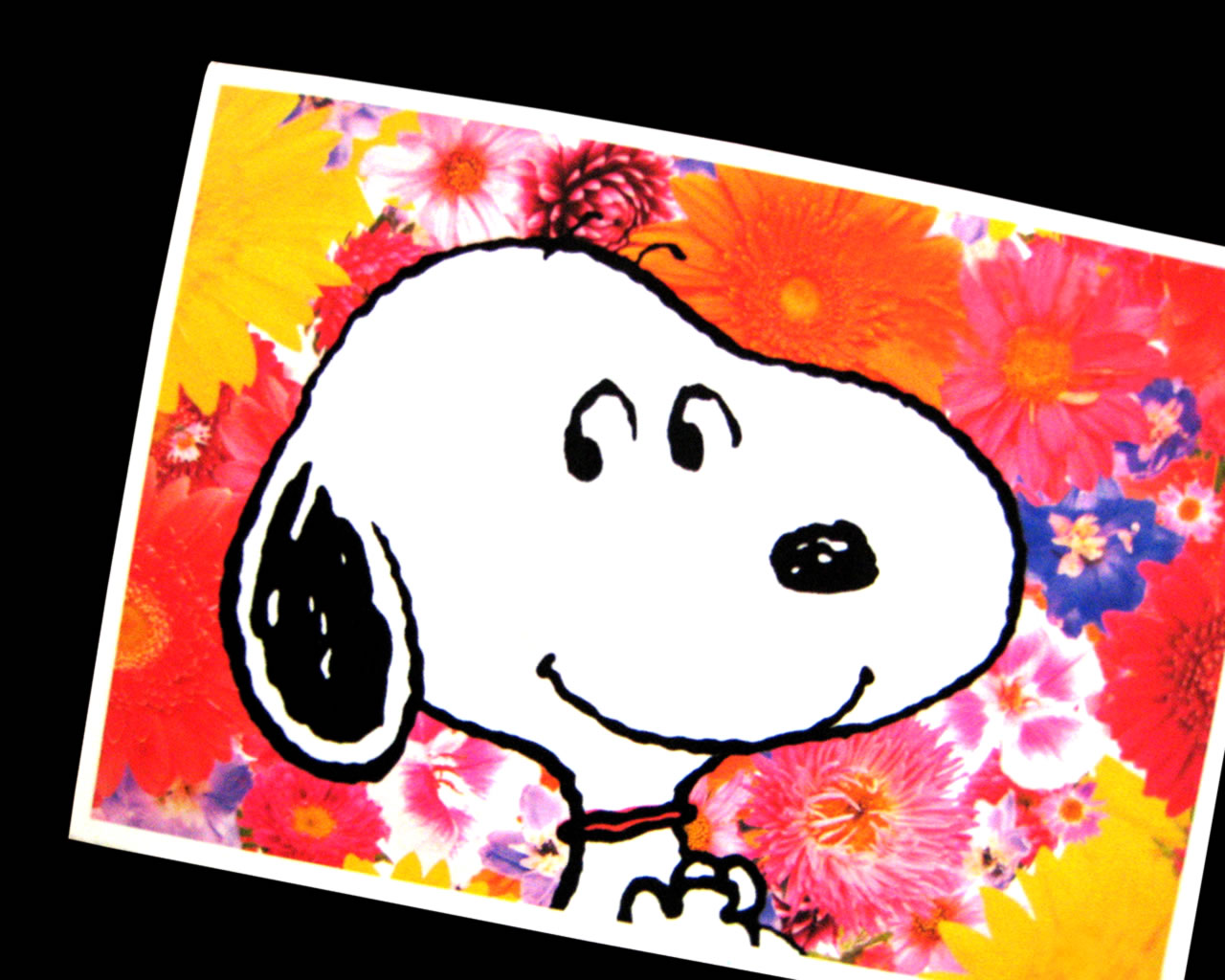 Snoopy Wallpapers HD photoframe