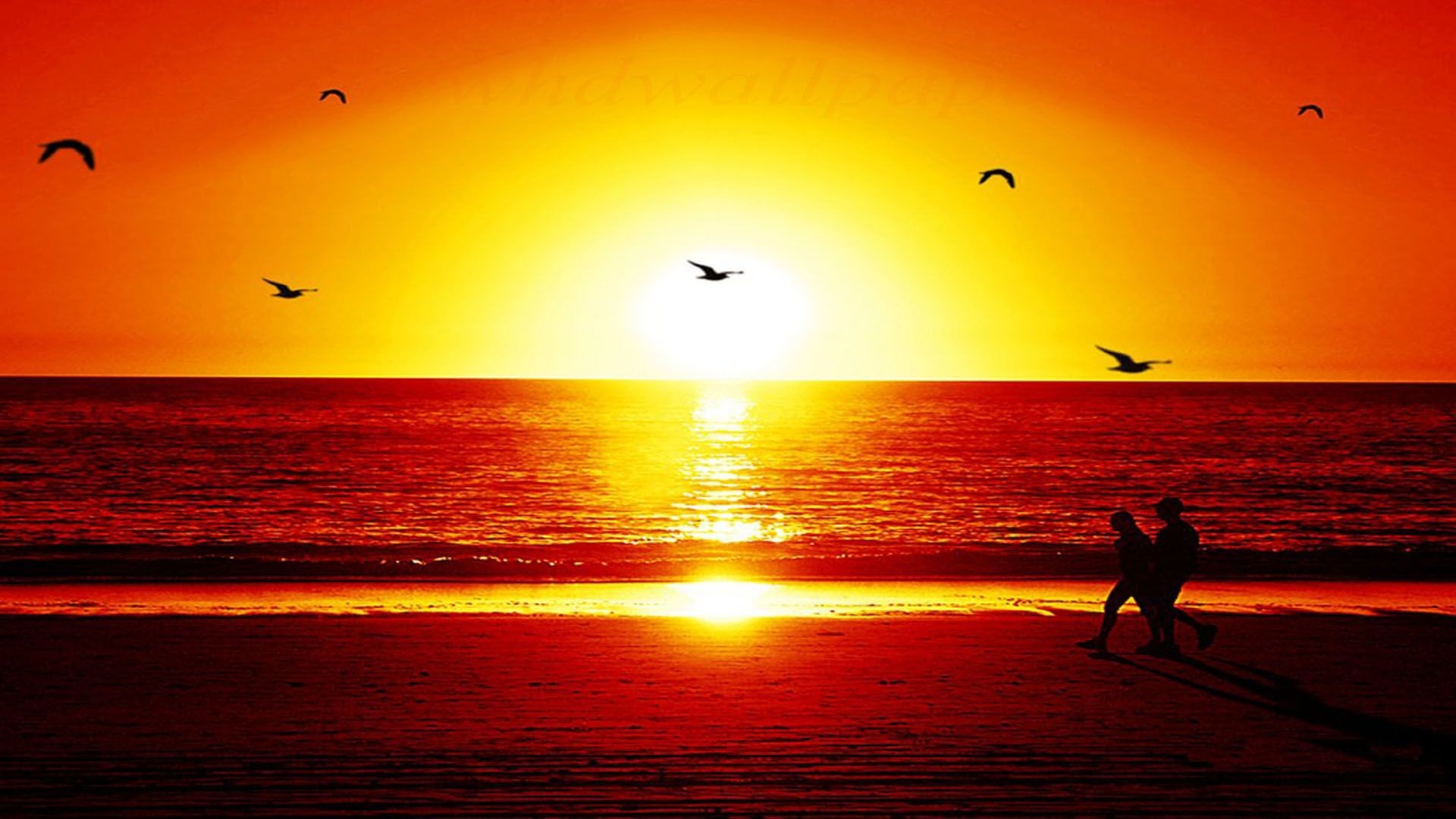 Sunset Wallpapers HD A14