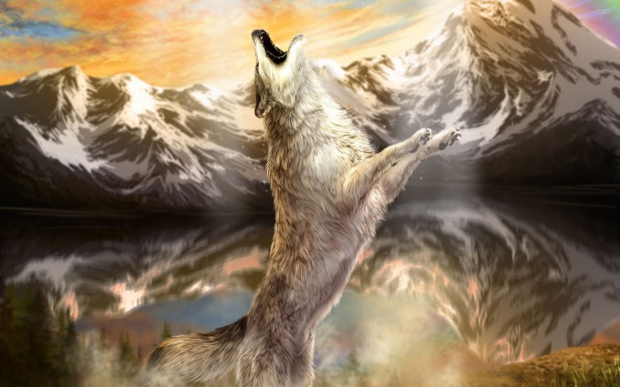 Wolf Wallpapers HD A1