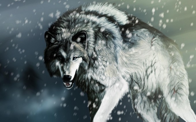 wolfs wallpaper