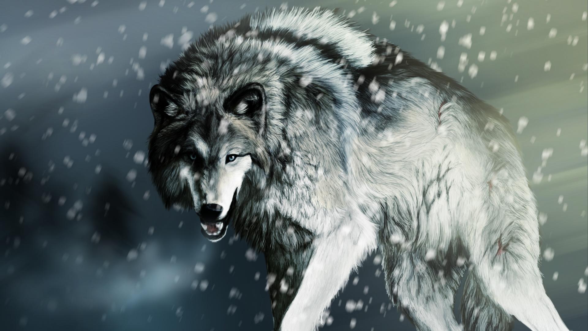 Wolf Wallpapers HD A25