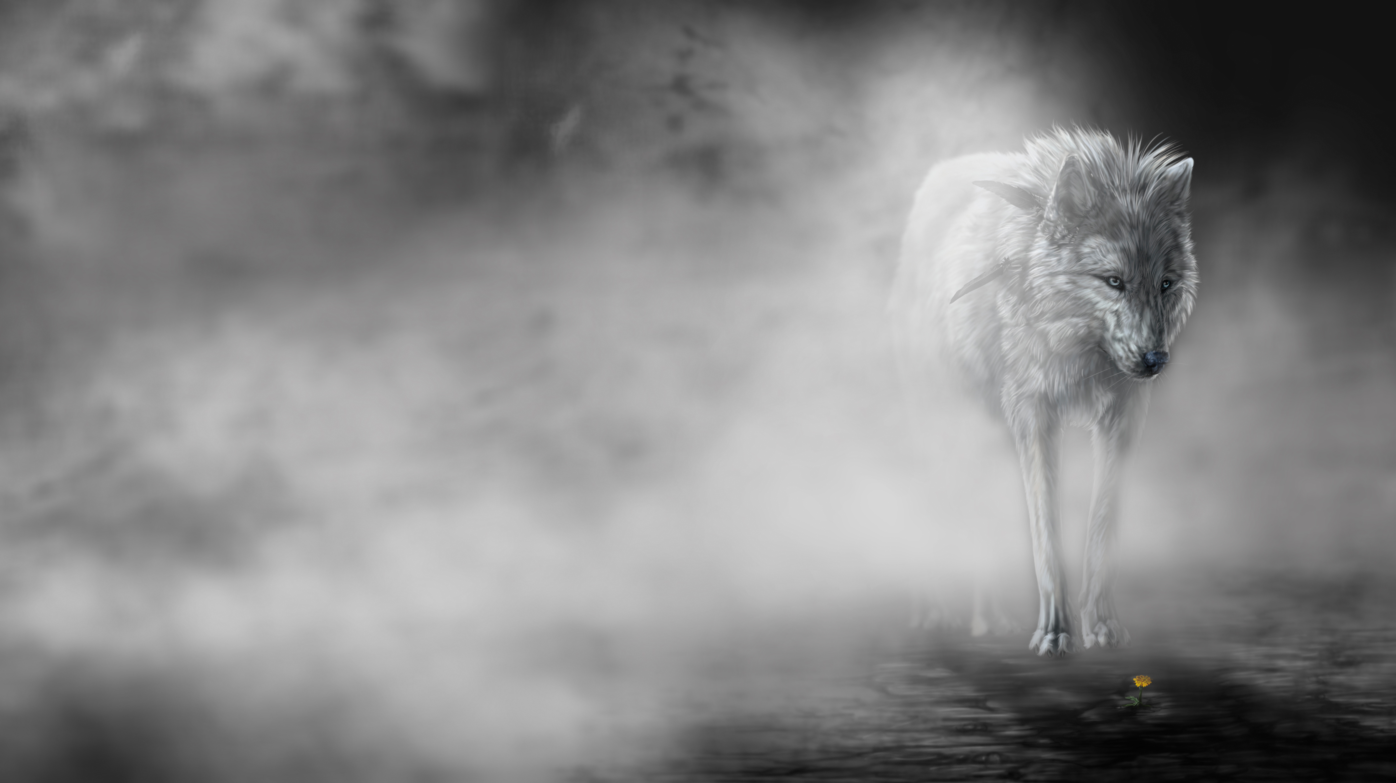 Wolf Wallpapers HD A6