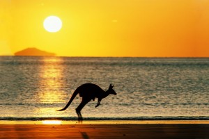 beach sunset wallpaper australia