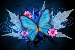 butterflies wallpaper