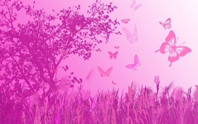 butterfly hd wallpapers pink