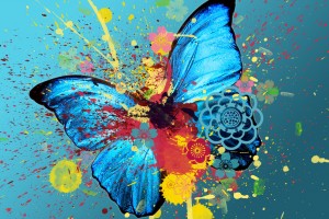 butterfly wallpaper multicolor