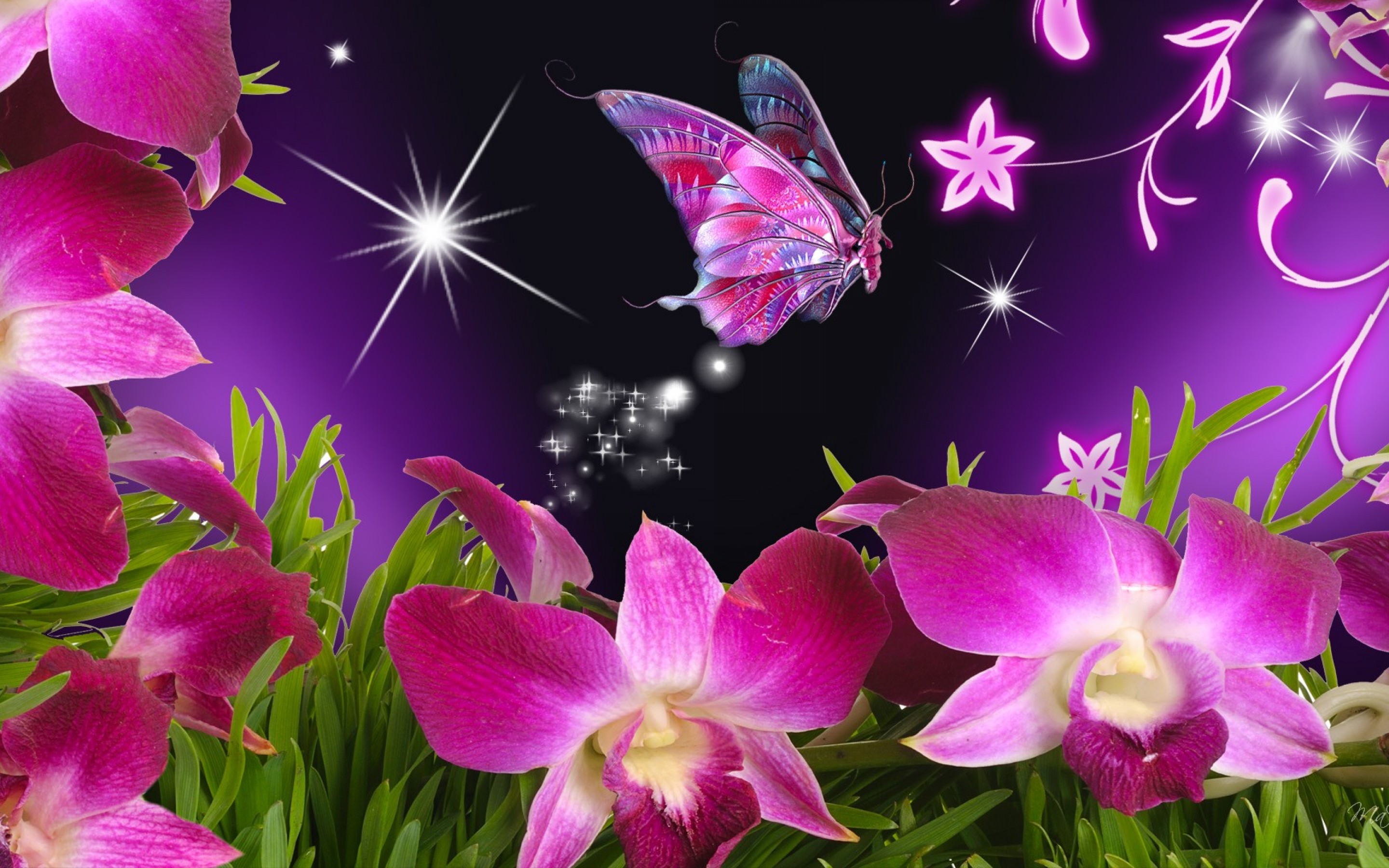 butterfly wallpaper pink