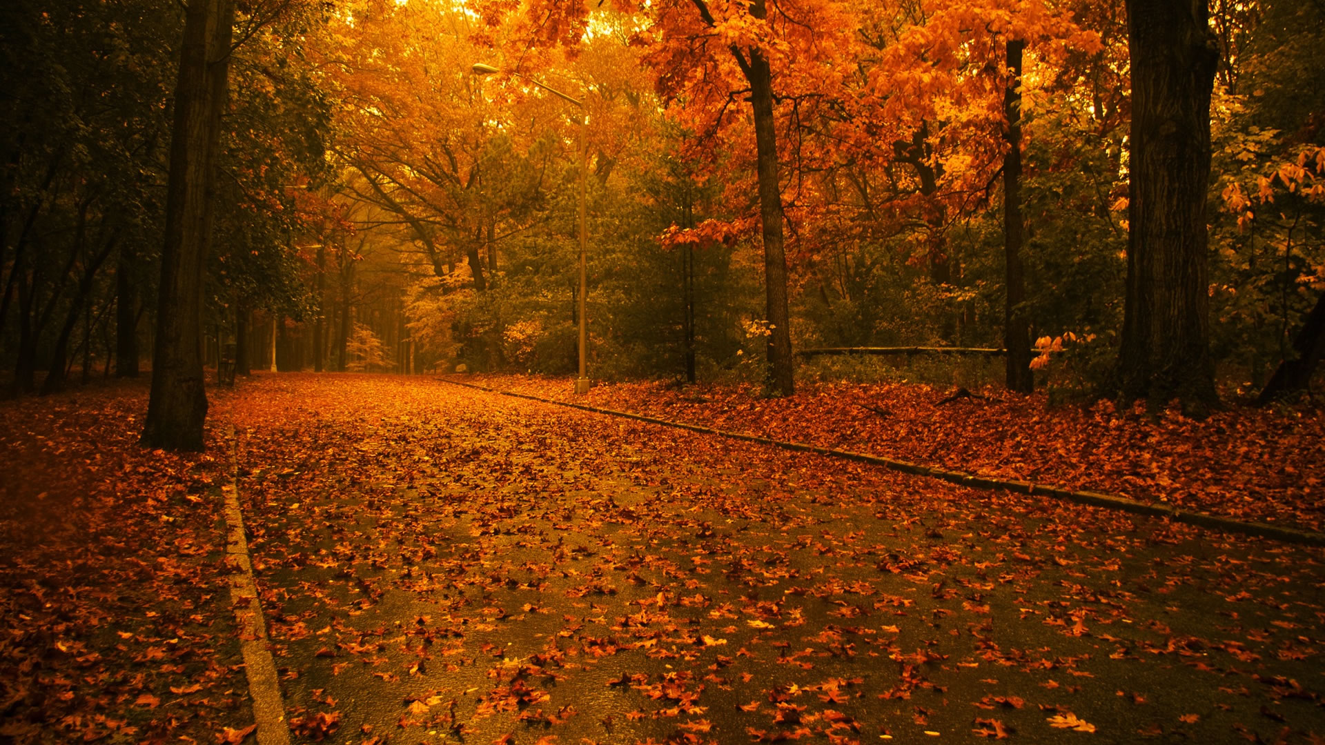 fall backgrounds for computer Autumn