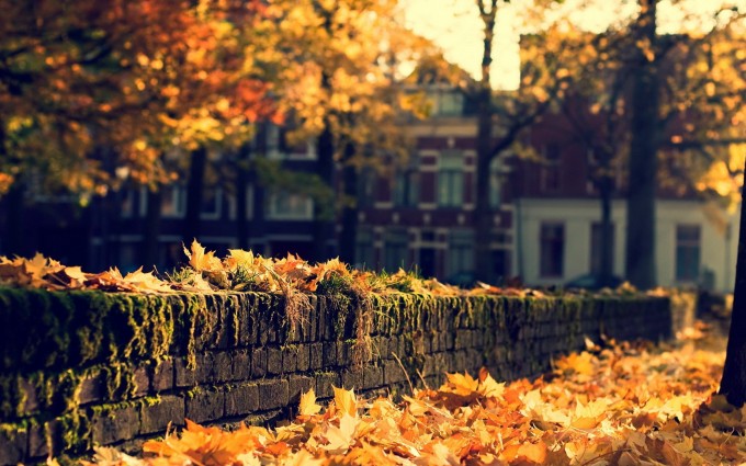 fall wallpapers bricks Autumn