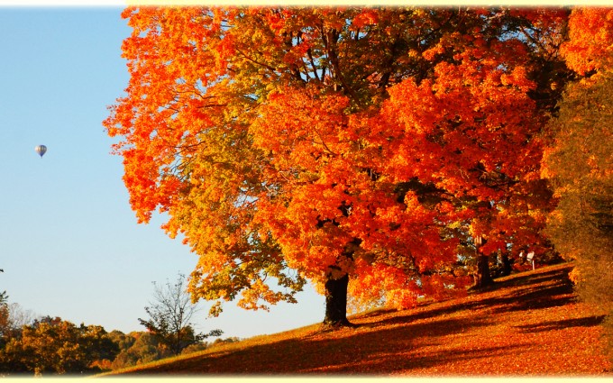 fall wallpapers cool Autumn