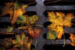 fall wallpapers grill Autumn