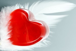 heart wallpapers feather