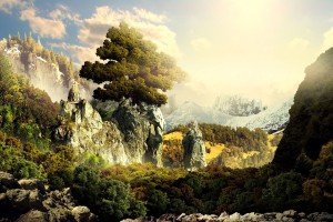 landscape wallpaper mountain trees