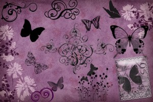 wallpapers of butterfly