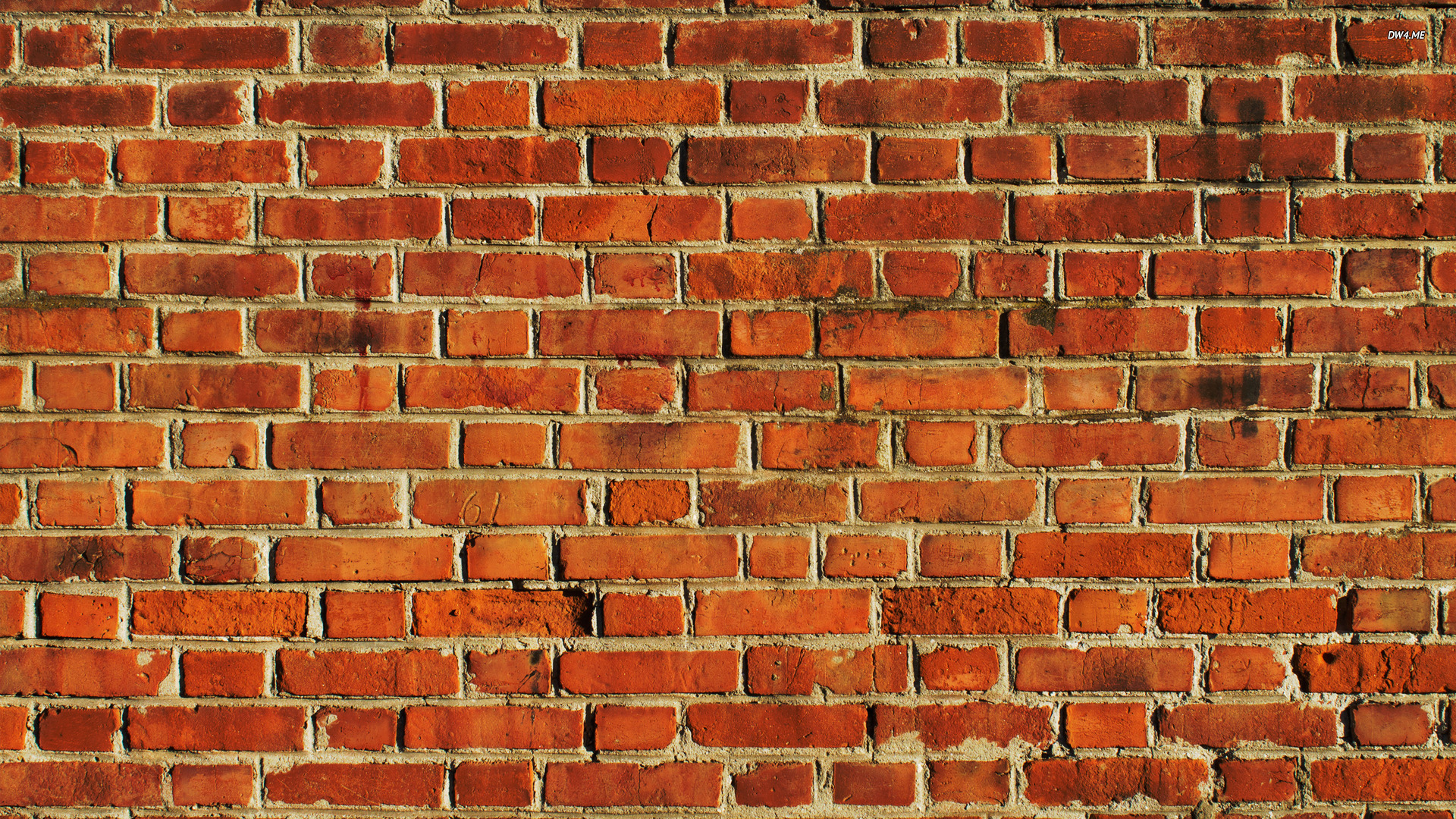 brick wallpaper photography