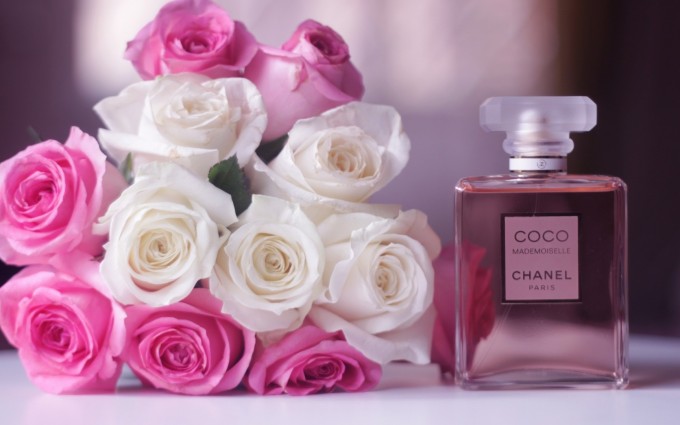 chanel wallpapers rose