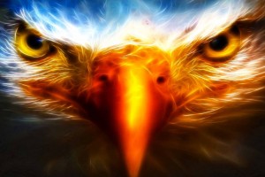 cool wallpapers eagle