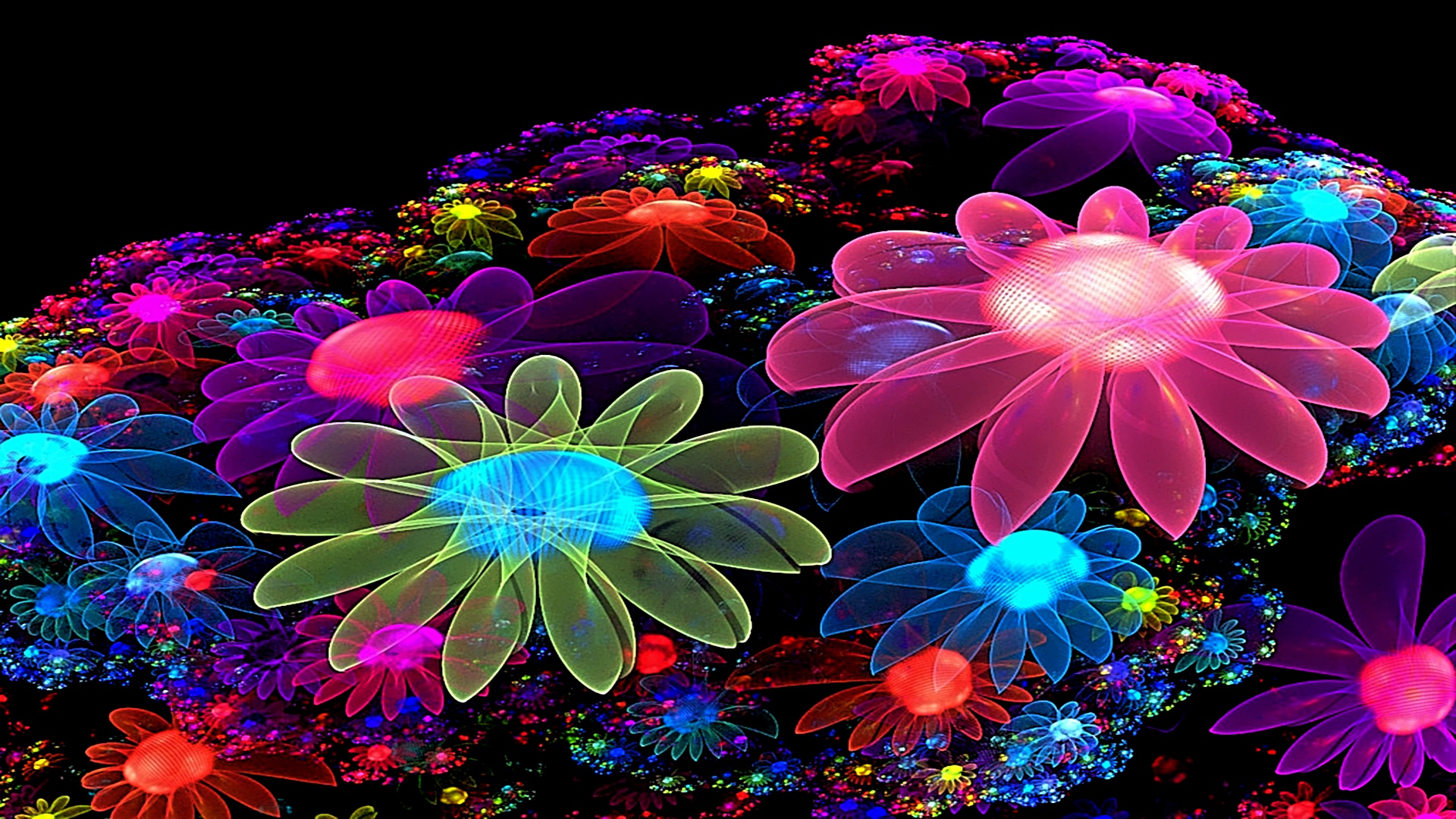 cool wallpapers flowers