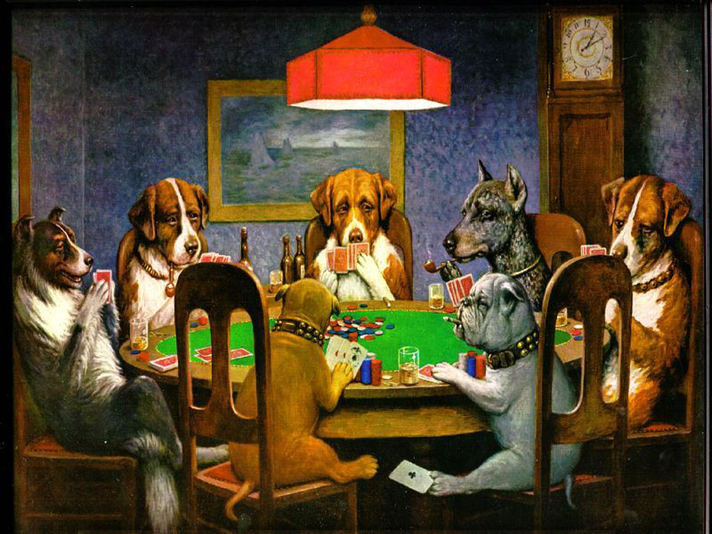 dog wallpaper poker