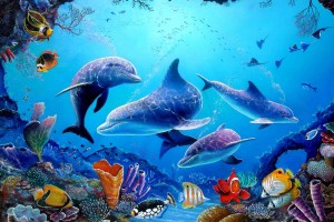 dolphin wallpaper 3d