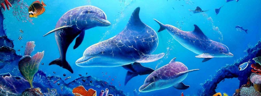 dolphin wallpaper 3d - HD Desktop Wallpapers | 4k HD
