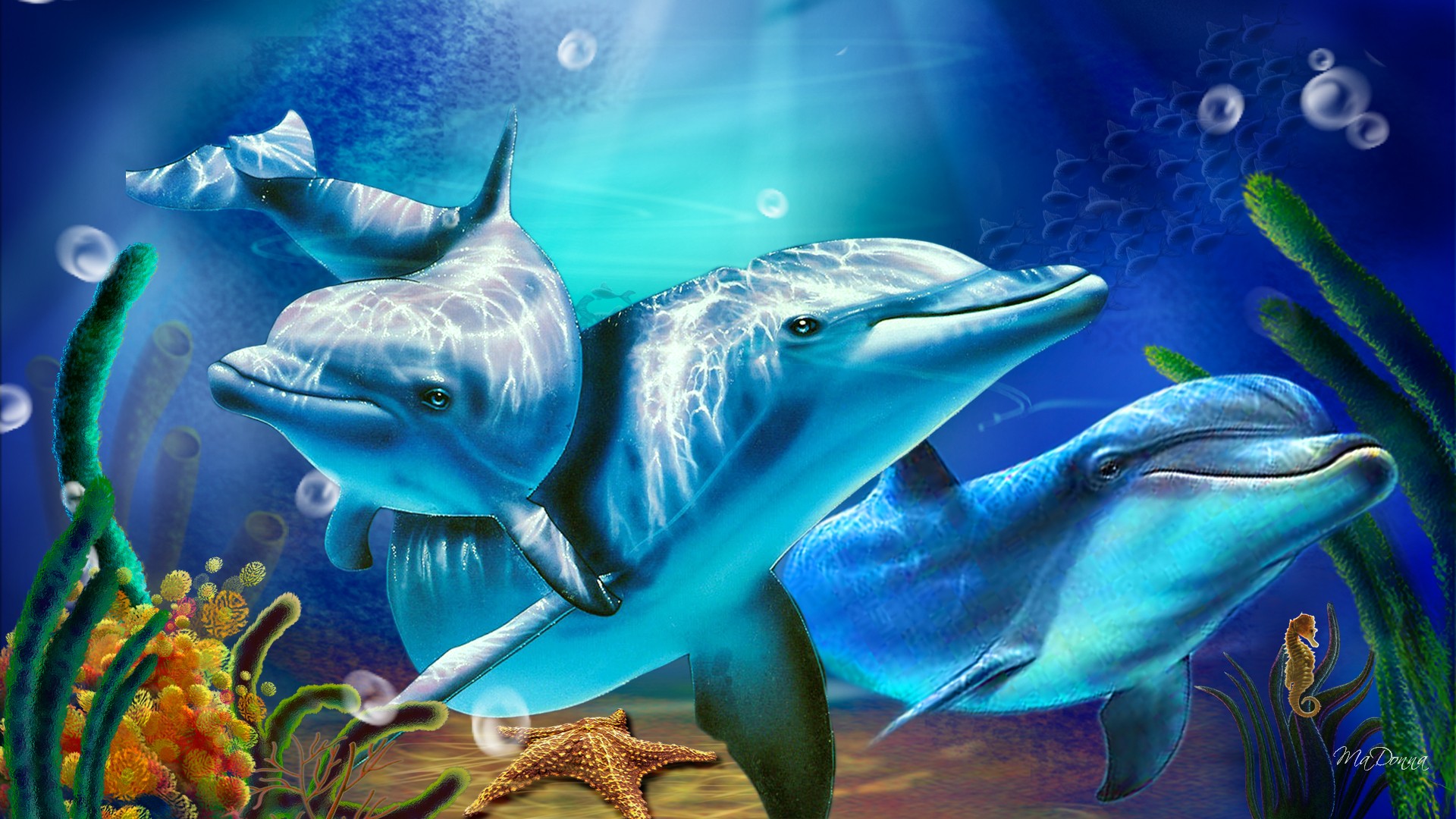 dolphin wallpaper cartoon