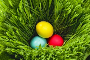 easter eggs pictures