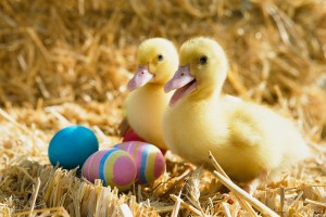 easter images amazing