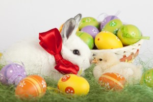 easter wallpapers bunny