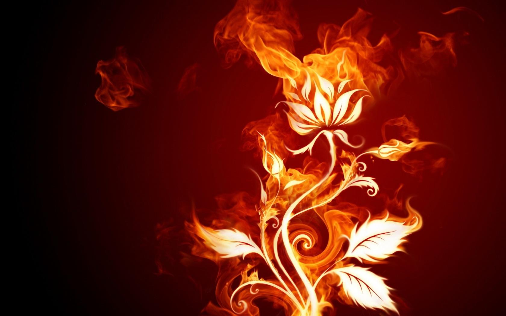 fire wallpaper flower