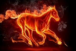 fire wallpaper horse