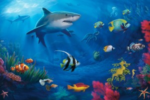 fish wallpaper underwater download