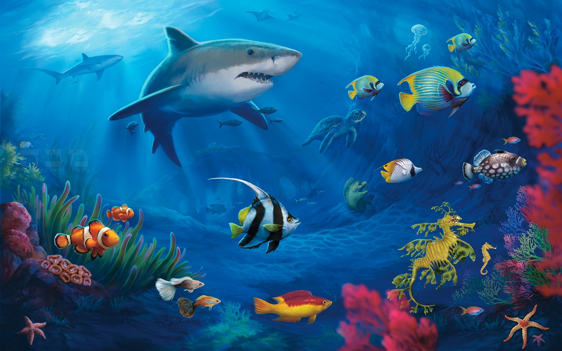 fish wallpaper underwater download