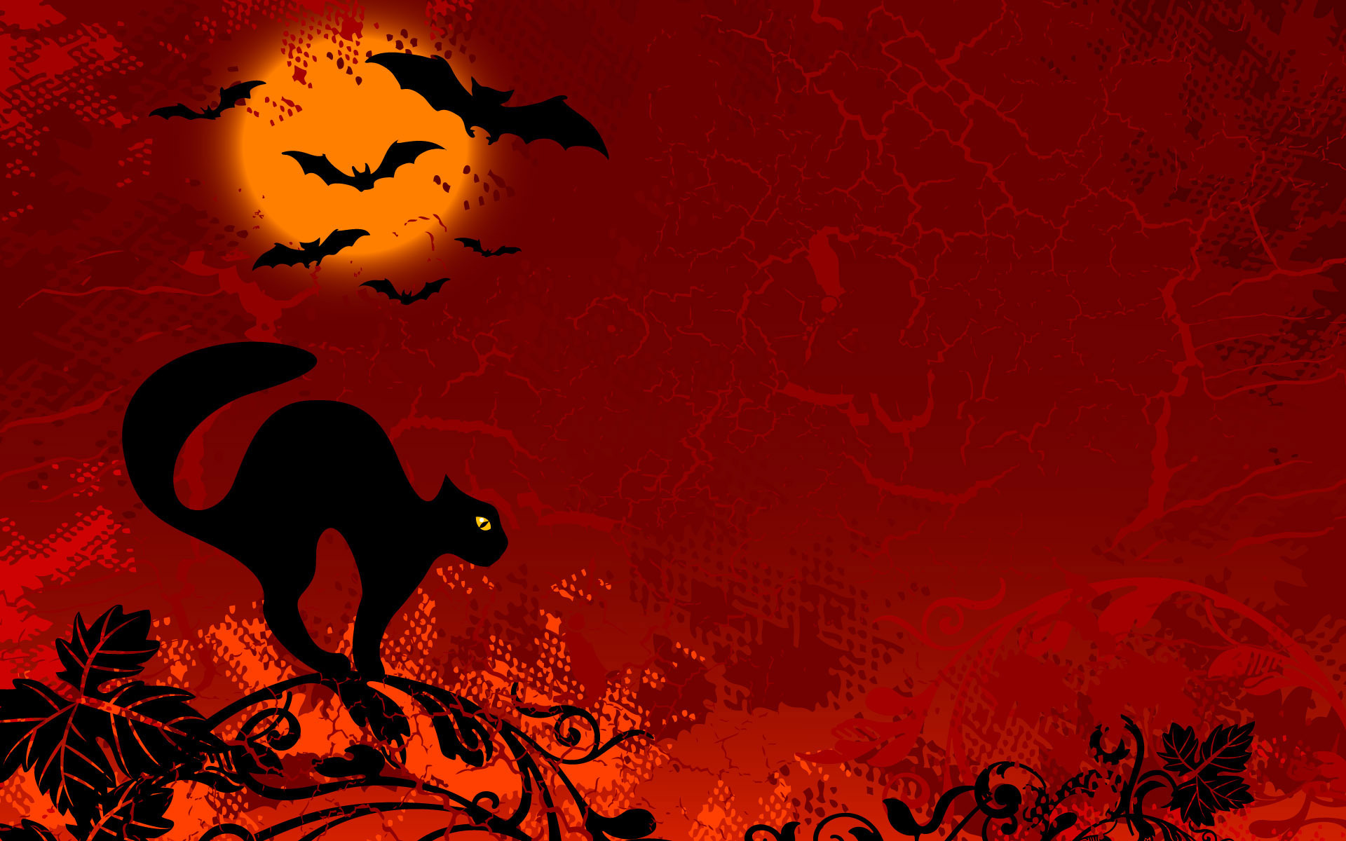 halloween wallpapers cat red