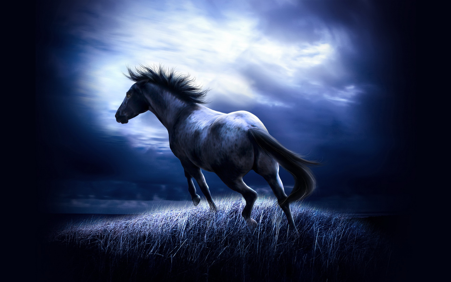 horse wallpapers blue
