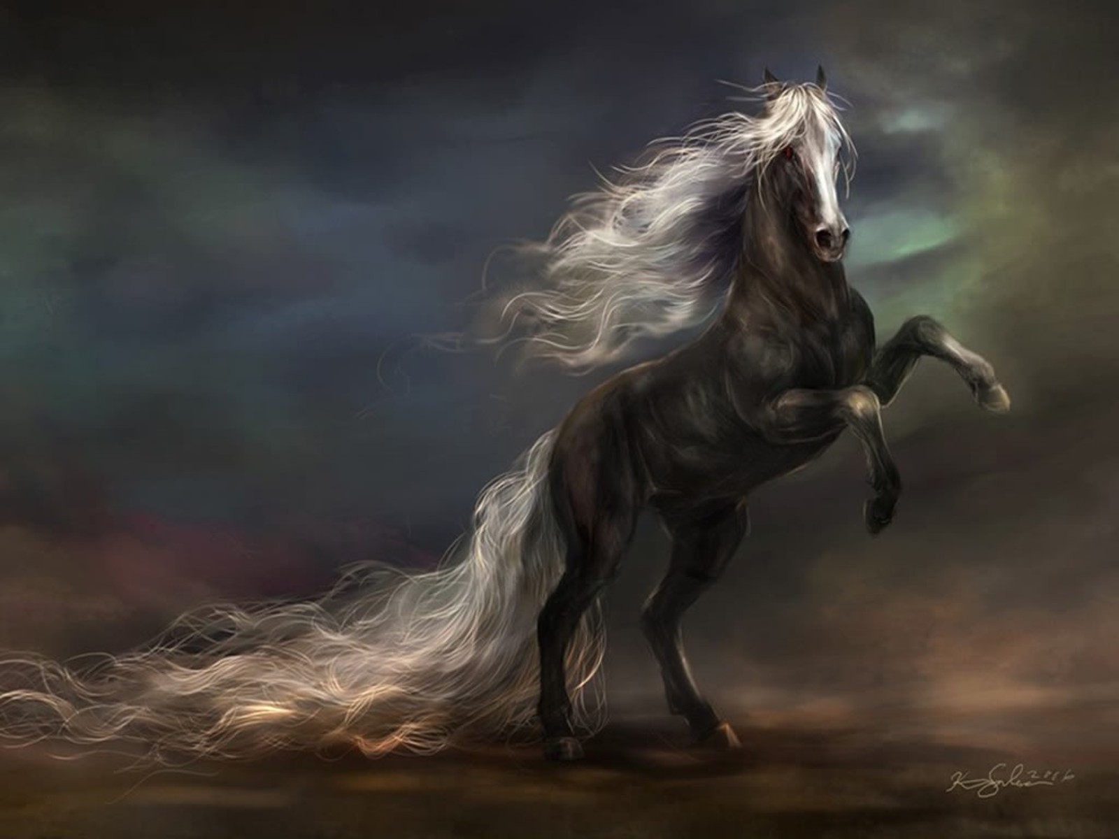 horse wallpapers tablet