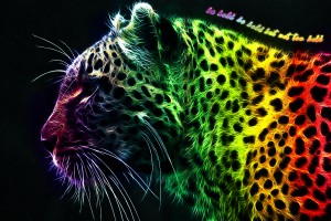 leopard wallpaper colorful