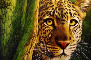 leopard wallpaper magnificent
