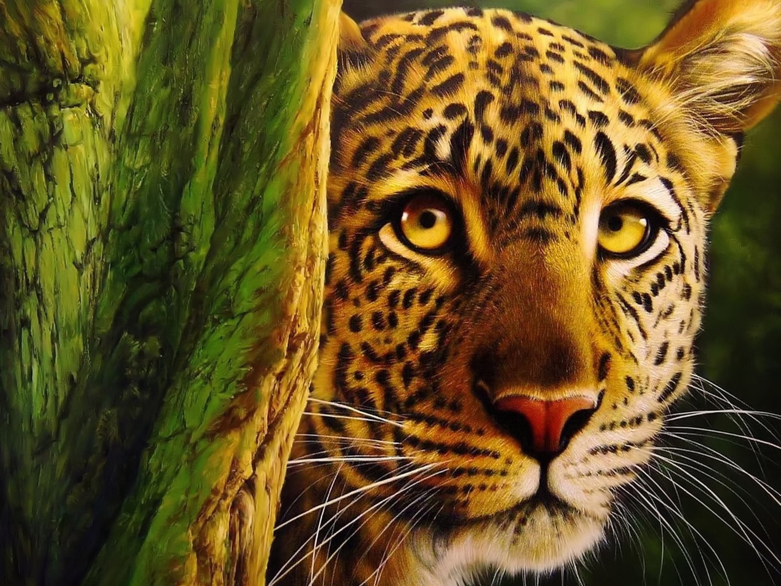 leopard wallpaper magnificent