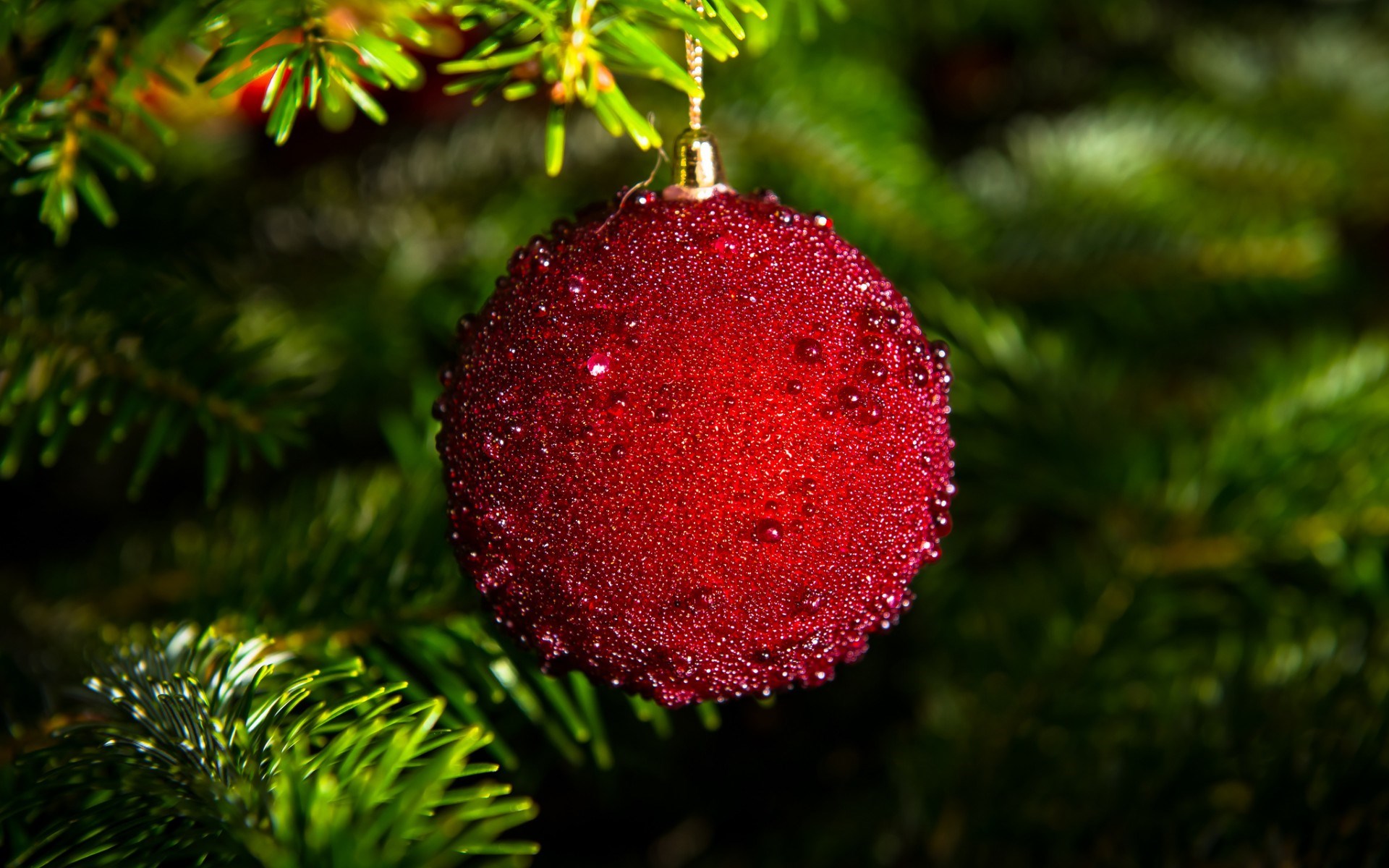 merry christmas wallpapers red ball