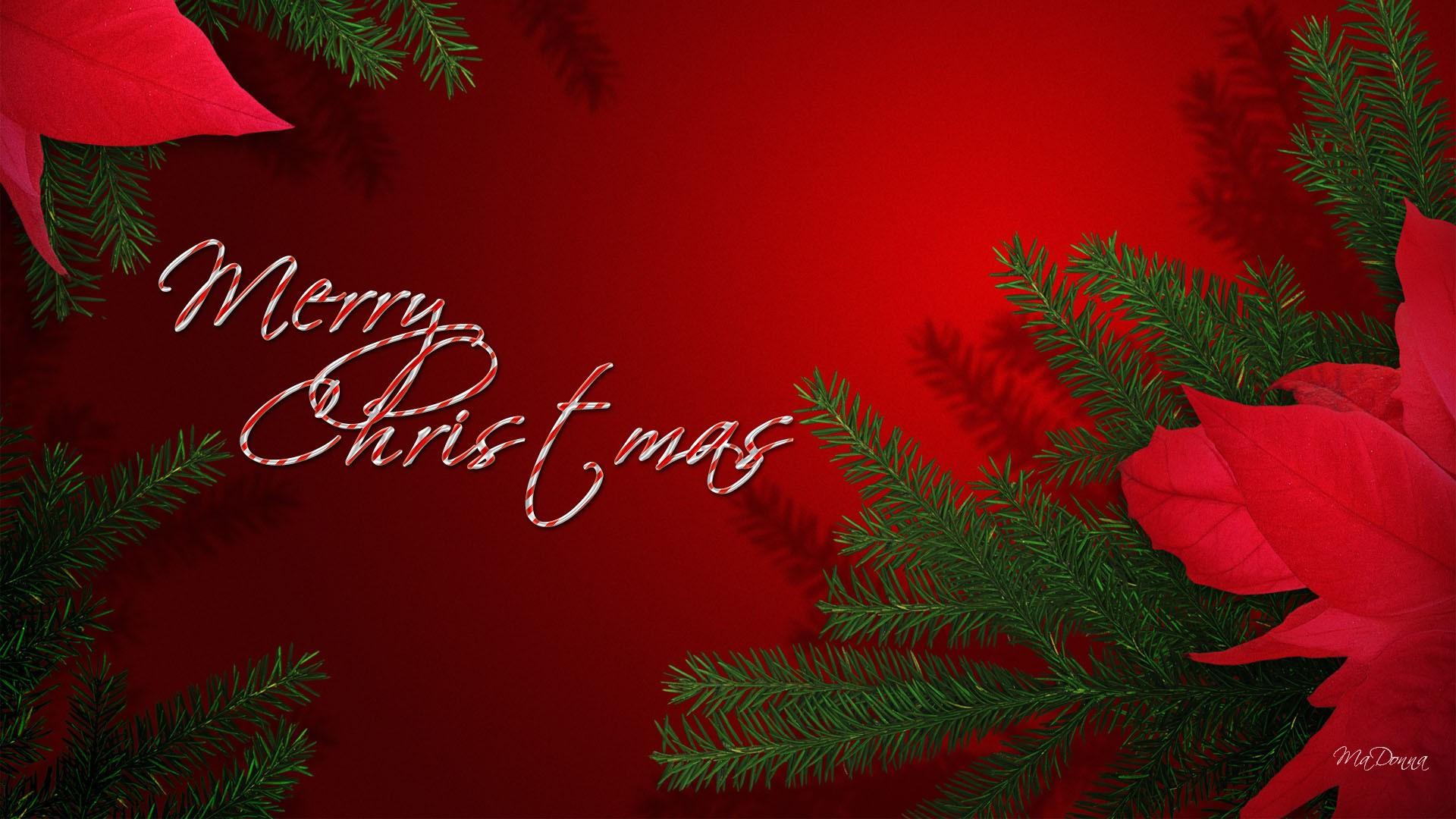 merry christmas wallpapers red hd