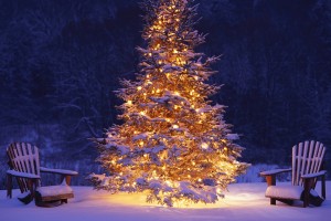 merry christmas wallpapers tree hd A4