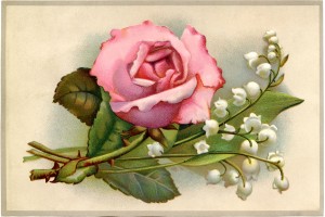 pink floral wallpaper rose
