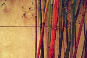 retro wallpaper bamboo
