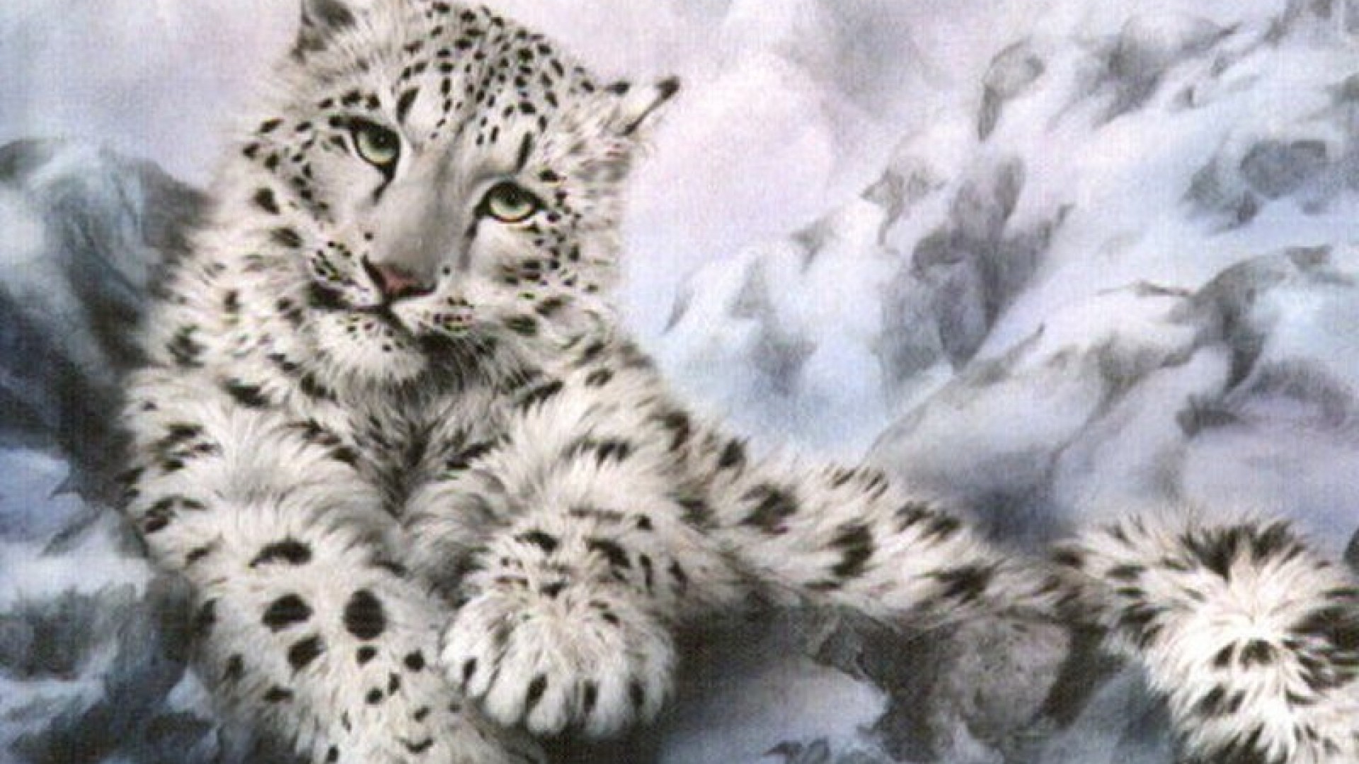 snow leopard wallpaper beautiful