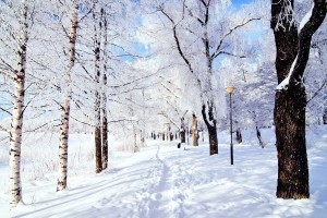 snow pictures wallpaper