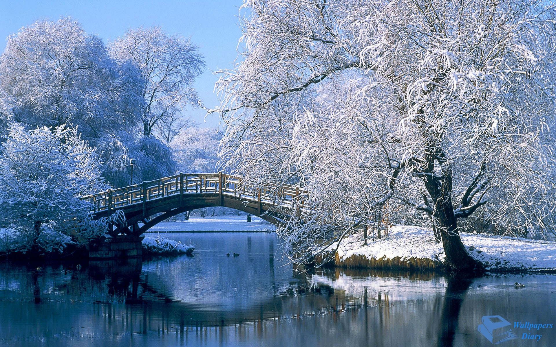 snow wallpaper bridge