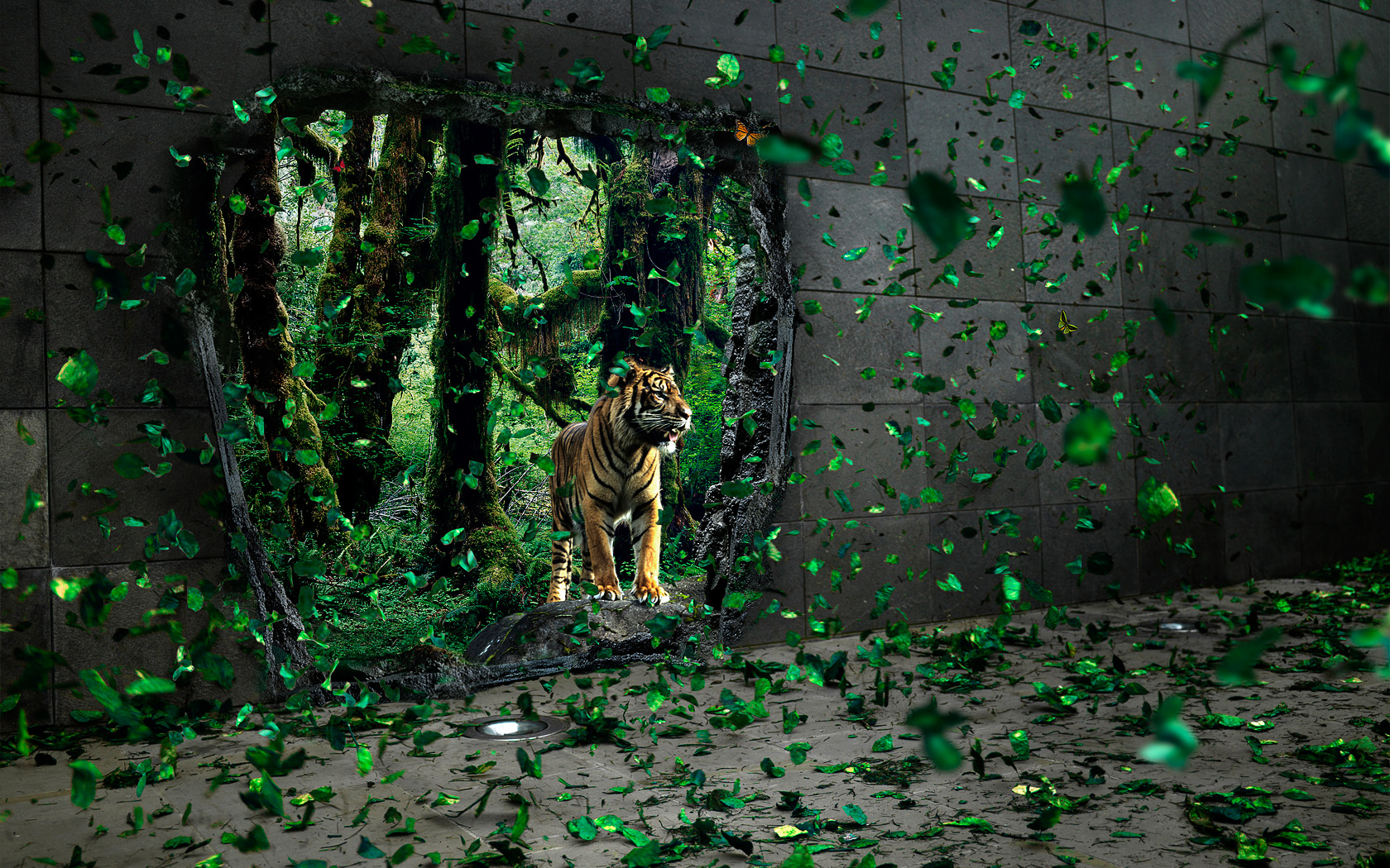 tiger wallpaper 3d graphic