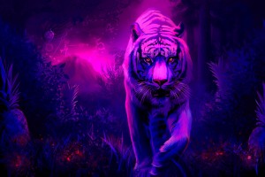 tiger wallpaper purple